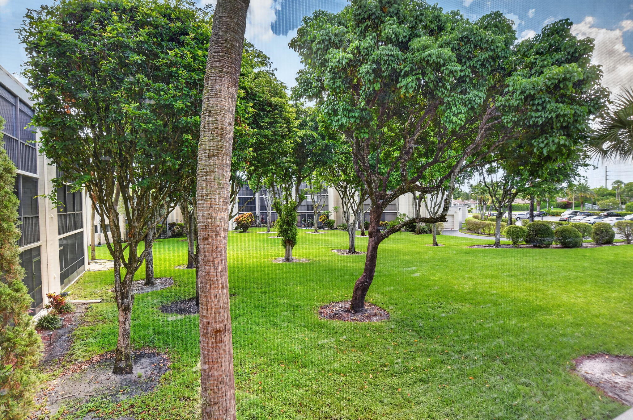 COCONUT PALM CONDO - Residential
