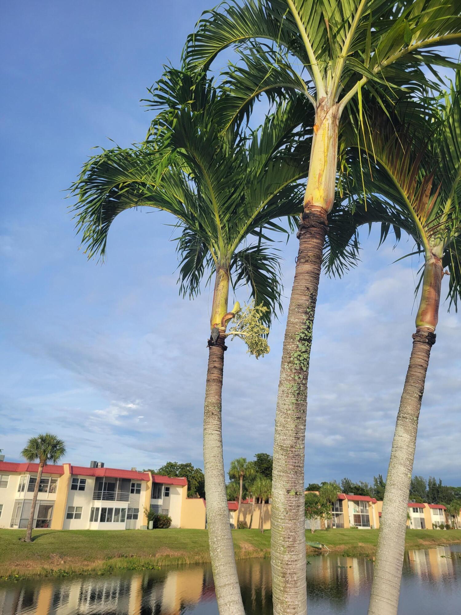GOLDEN LAKES VILLAGE CONDO 1 THRU 13-A - Residential Lease