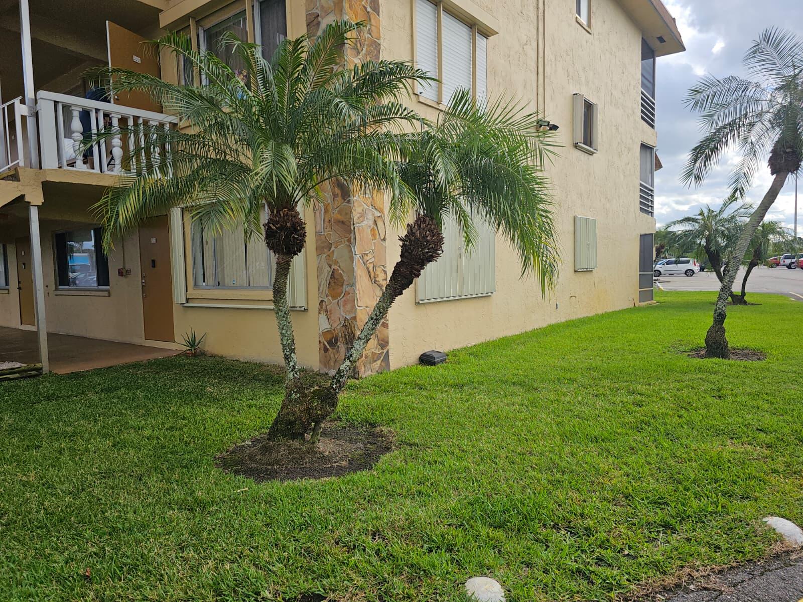 VILLAGE GREEN AVON CONDO - Residential