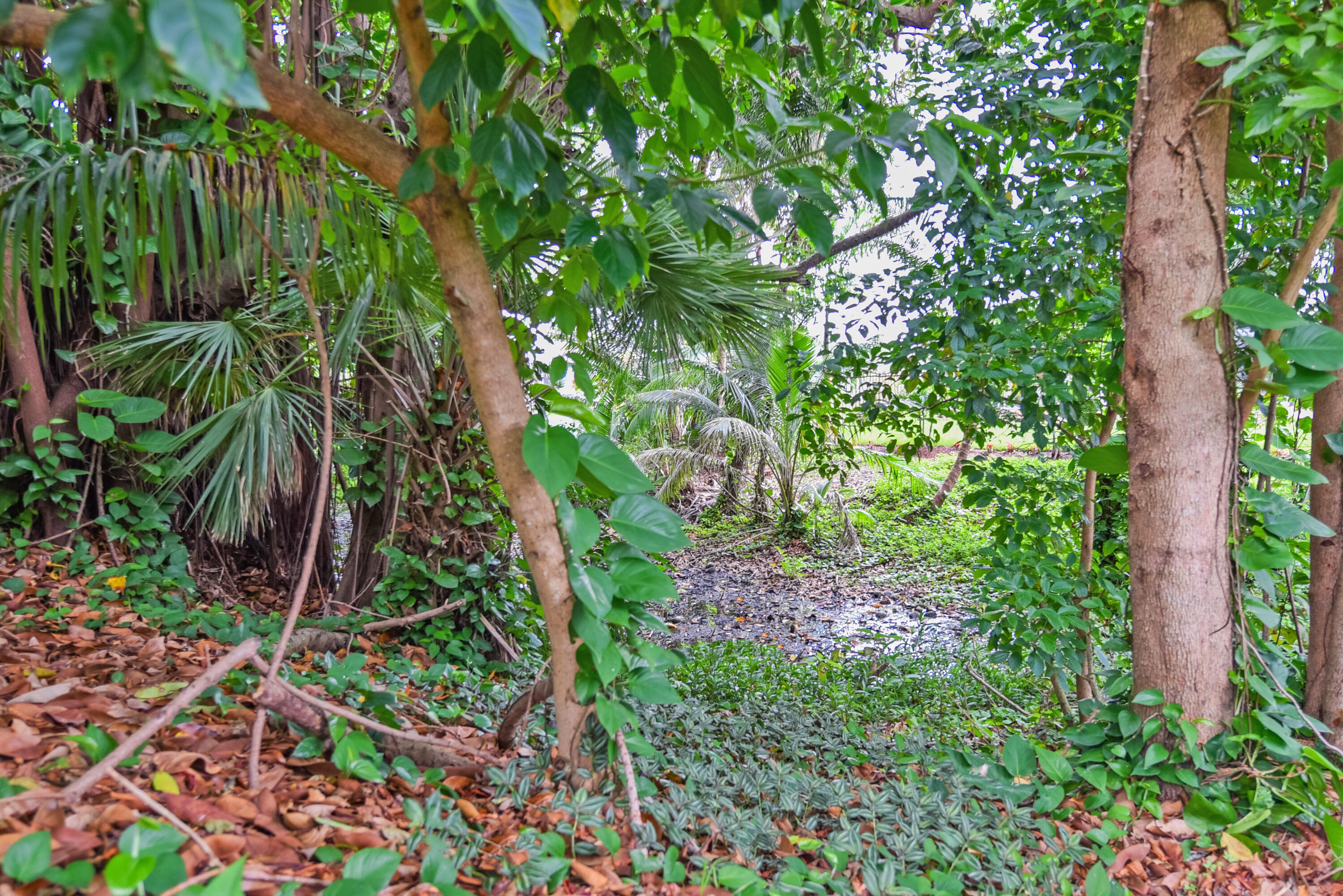 PALMETTO PARK TERRACE UNIT 9 - Residential