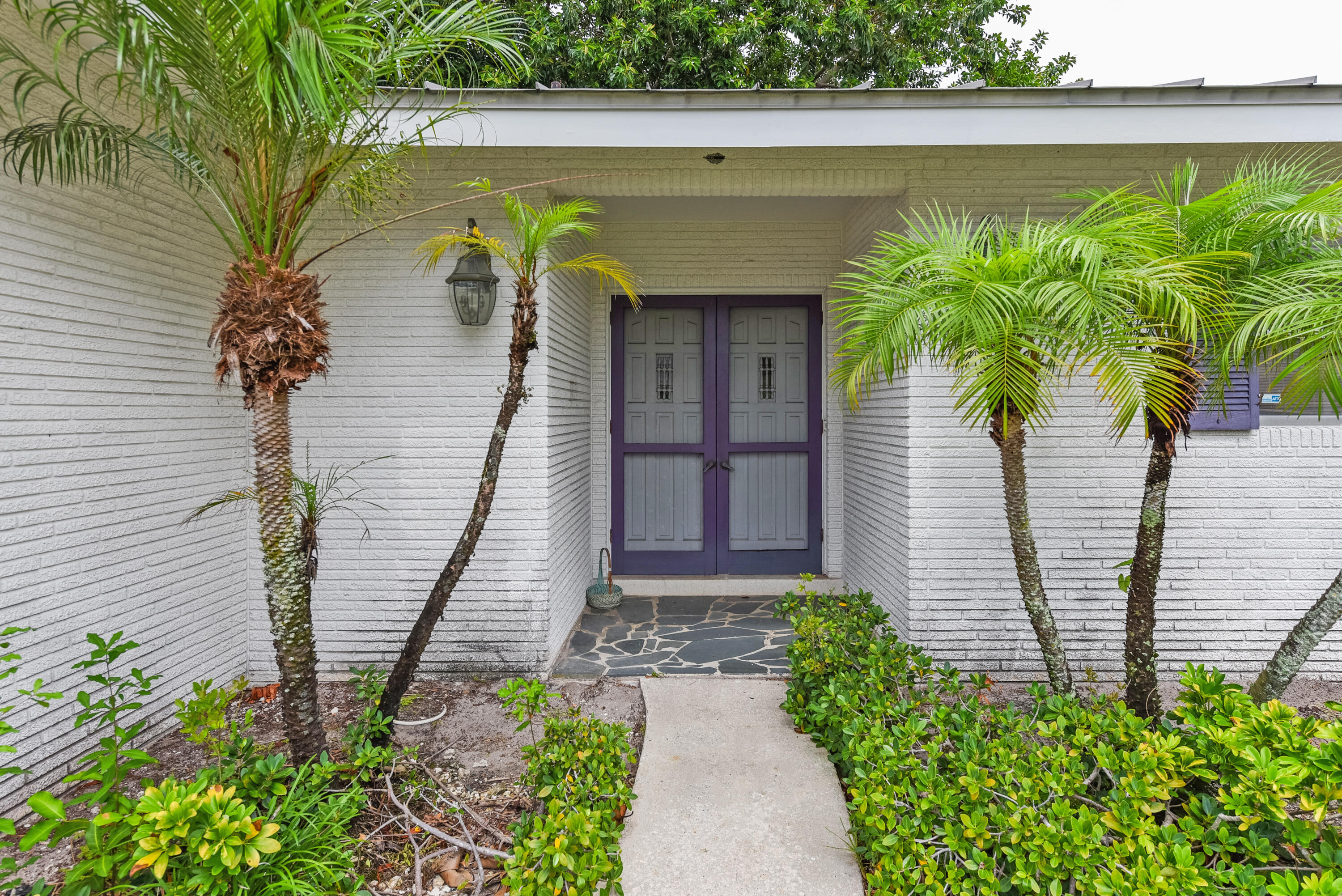 PALMETTO PARK TERRACE UNIT 9 - Residential