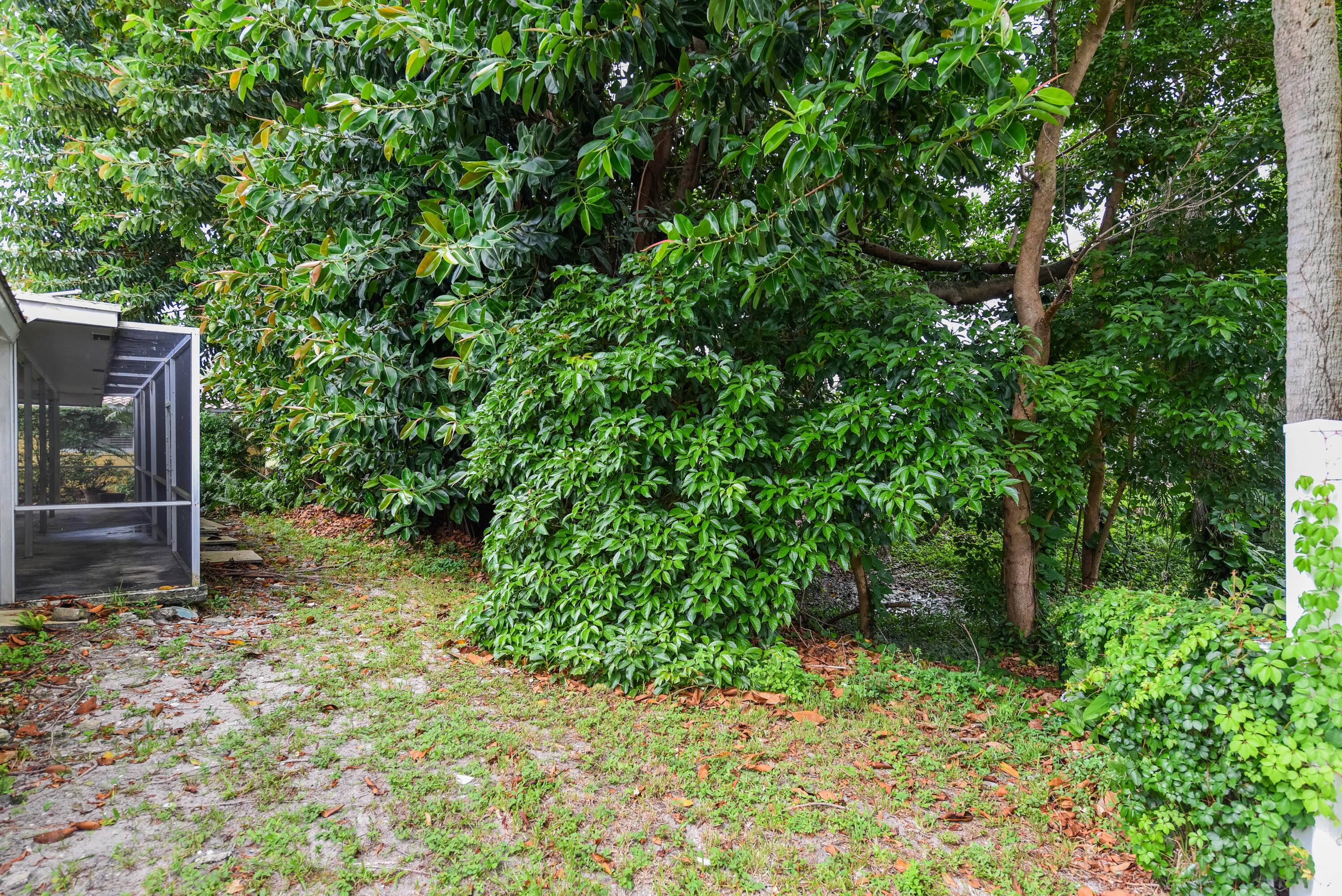 PALMETTO PARK TERRACE UNIT 9 - Residential