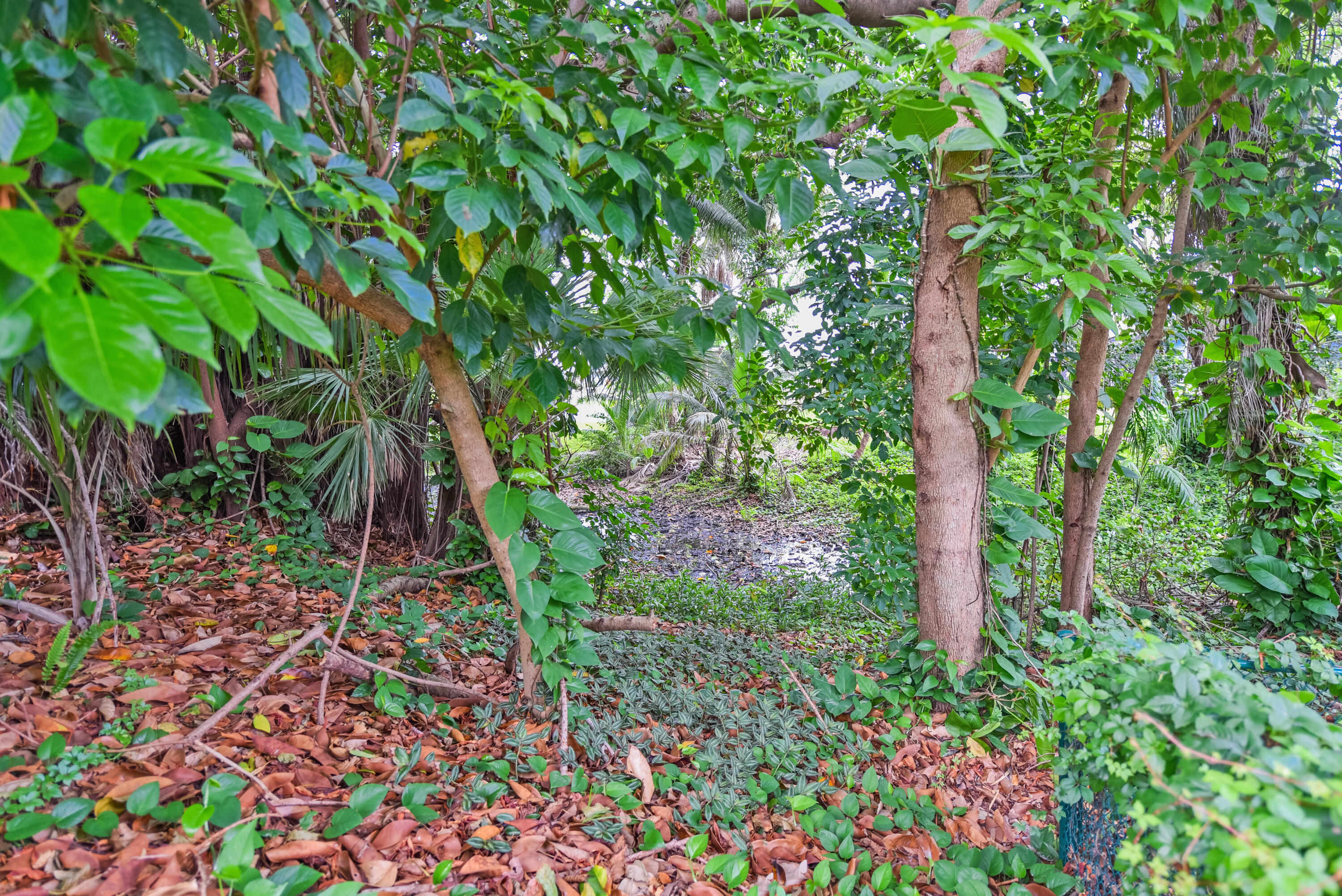 PALMETTO PARK TERRACE UNIT 9 - Residential