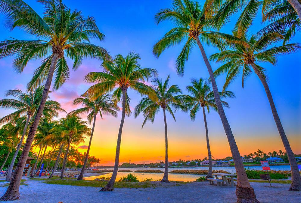 Islands of Jupiter - Residential