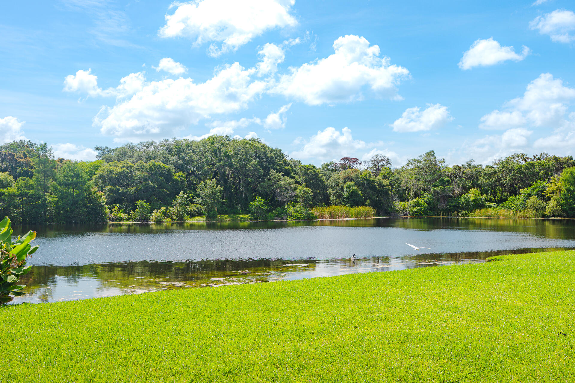 FOREST RIDGE SINGLE FAMILY VII - Residential