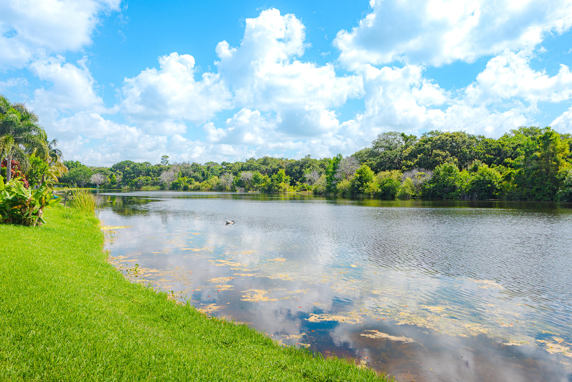 FOREST RIDGE SINGLE FAMILY VII - Residential