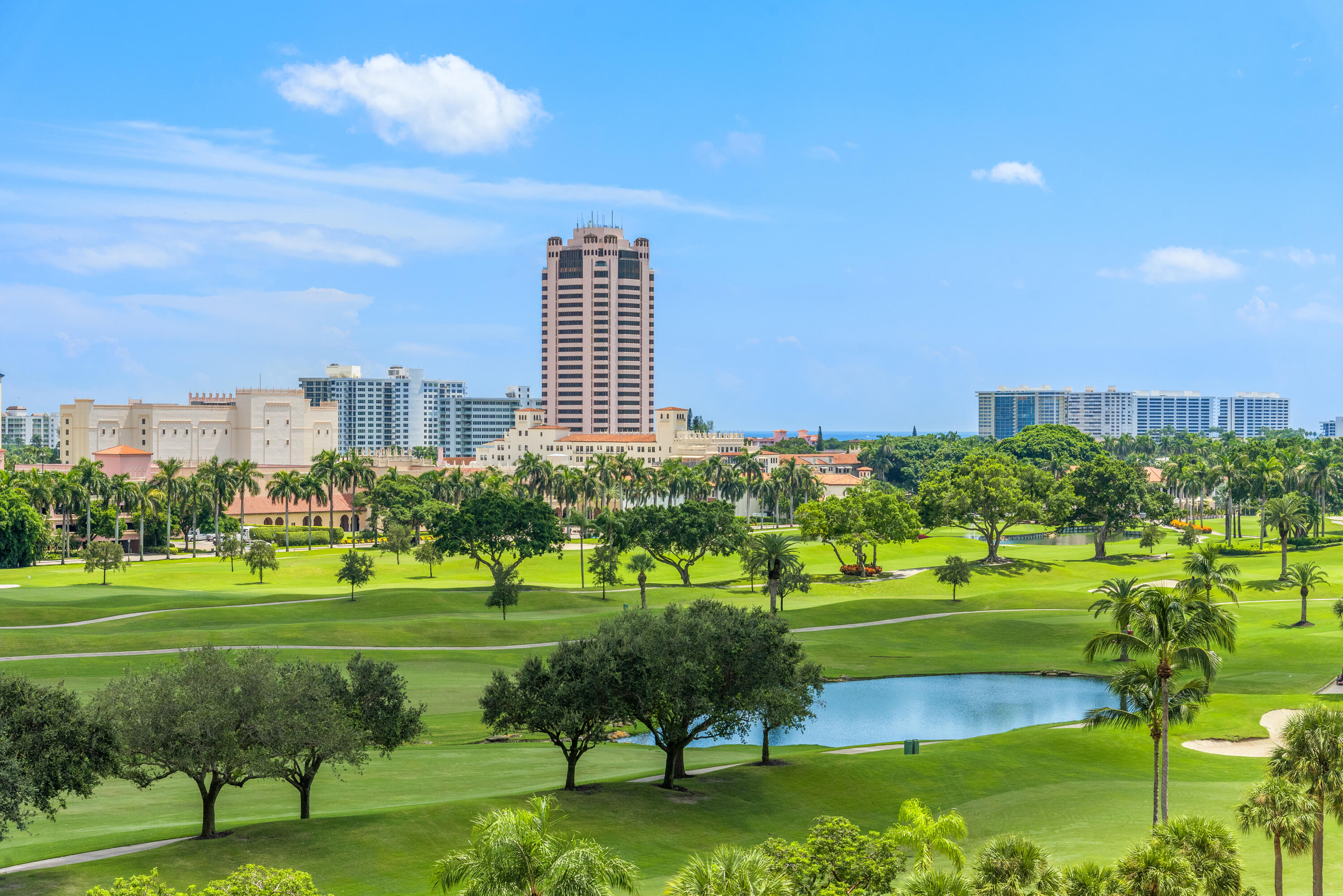ALINA BOCA RATON CONDO - Residential