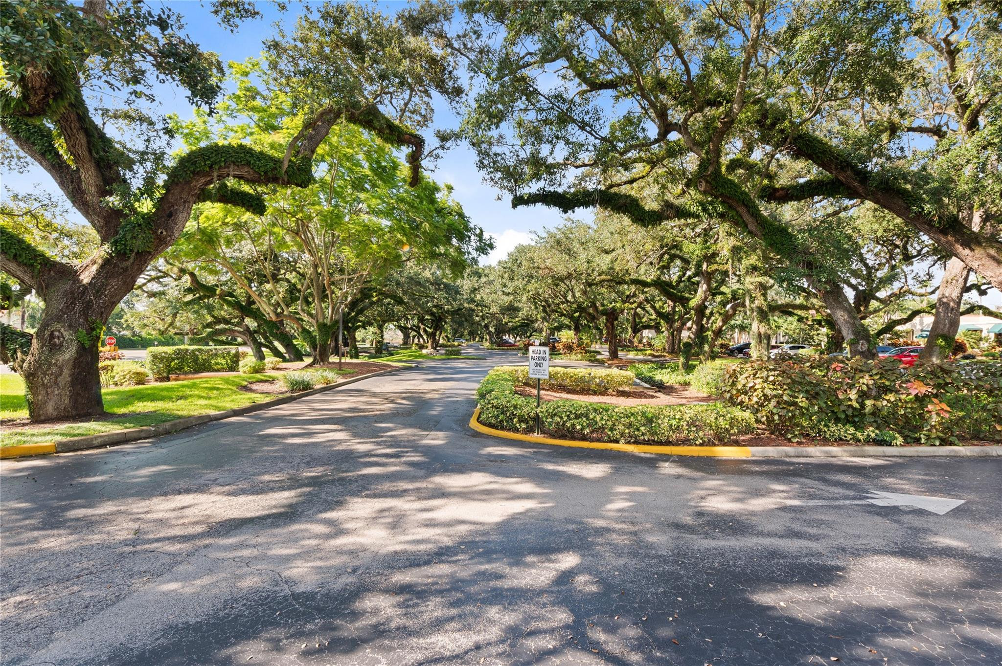 Live Oak Condominium - Residential
