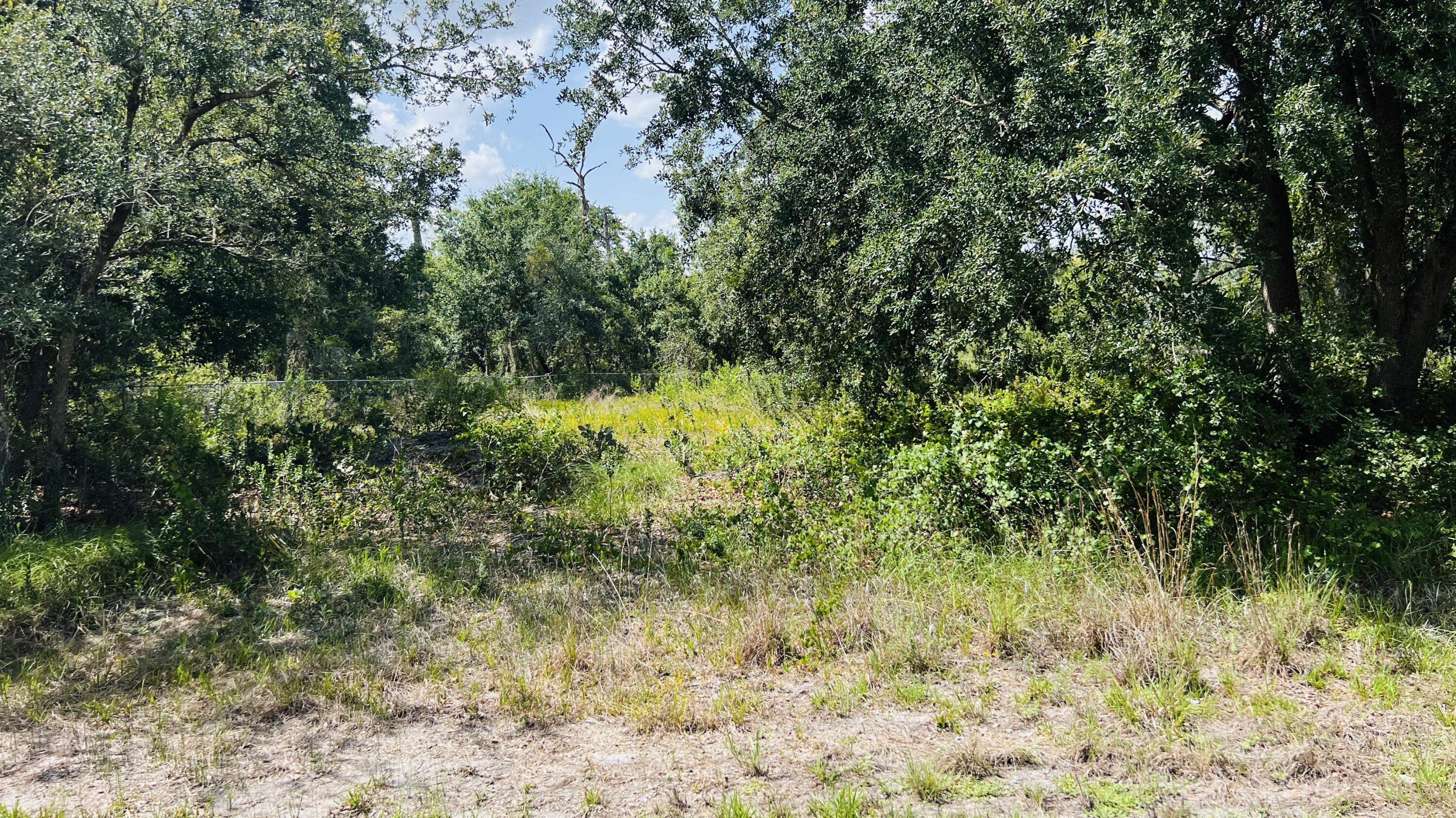 Investor's Dream  Rare opportunity to own one of three consecutive lots, all zoned for duplex construction and ready to build. Purchase this lot individually or buy all three lots as a package (3151 Miller Ave  and 3155 Miller Ave )for an exceptional development opportunity.  The owner is selling only because they are shifting their investment portfolio from residential to commercial properties. Build up to three duplexes (one on each lot) or three single-family homes. The owner is currently building a duplex in Sebring, giving buyers the opportunity to view the project, including the floor plans and actual construction costs, as an example of what can be built on these lots. Located in a rapidly growing area, don't miss this unique opportunity! Buyer should perform their own due diligence prior purchase