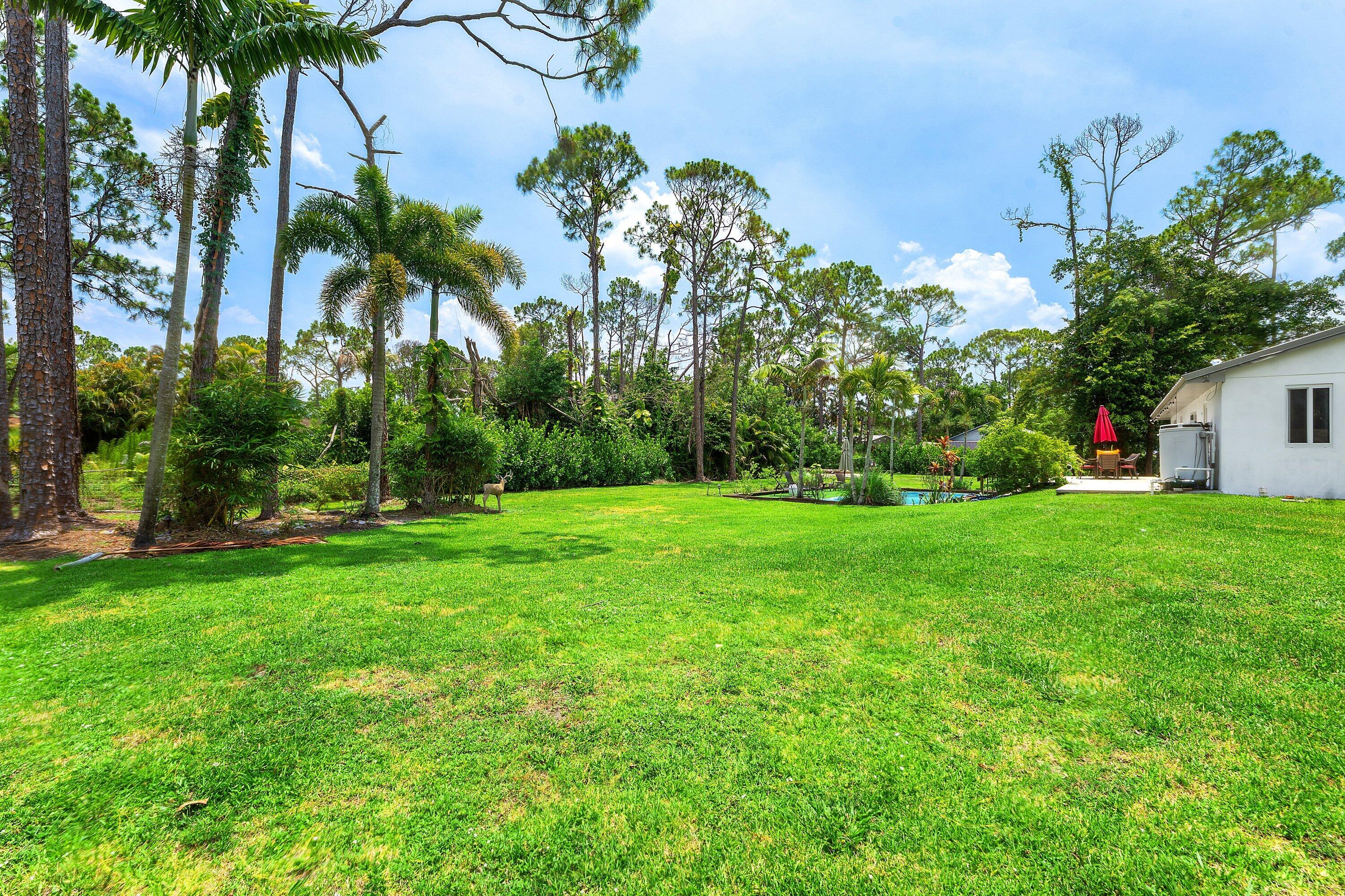 The Acreage - Residential