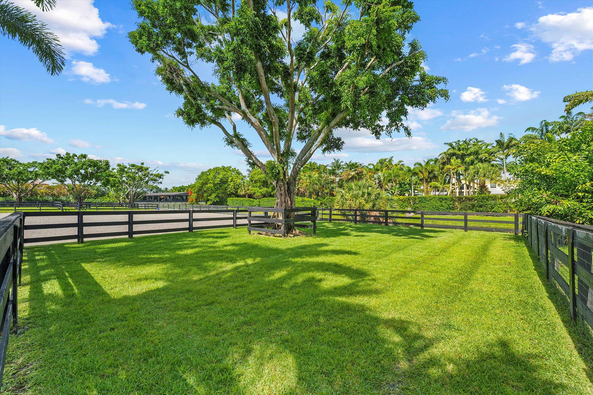 PADDOCK PARK 2 OF WELLINGTON - Residential