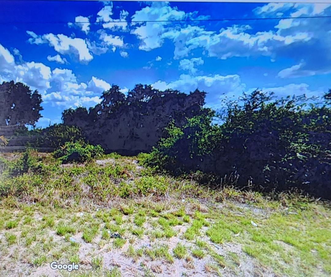 LEHIGH ACRES - Land