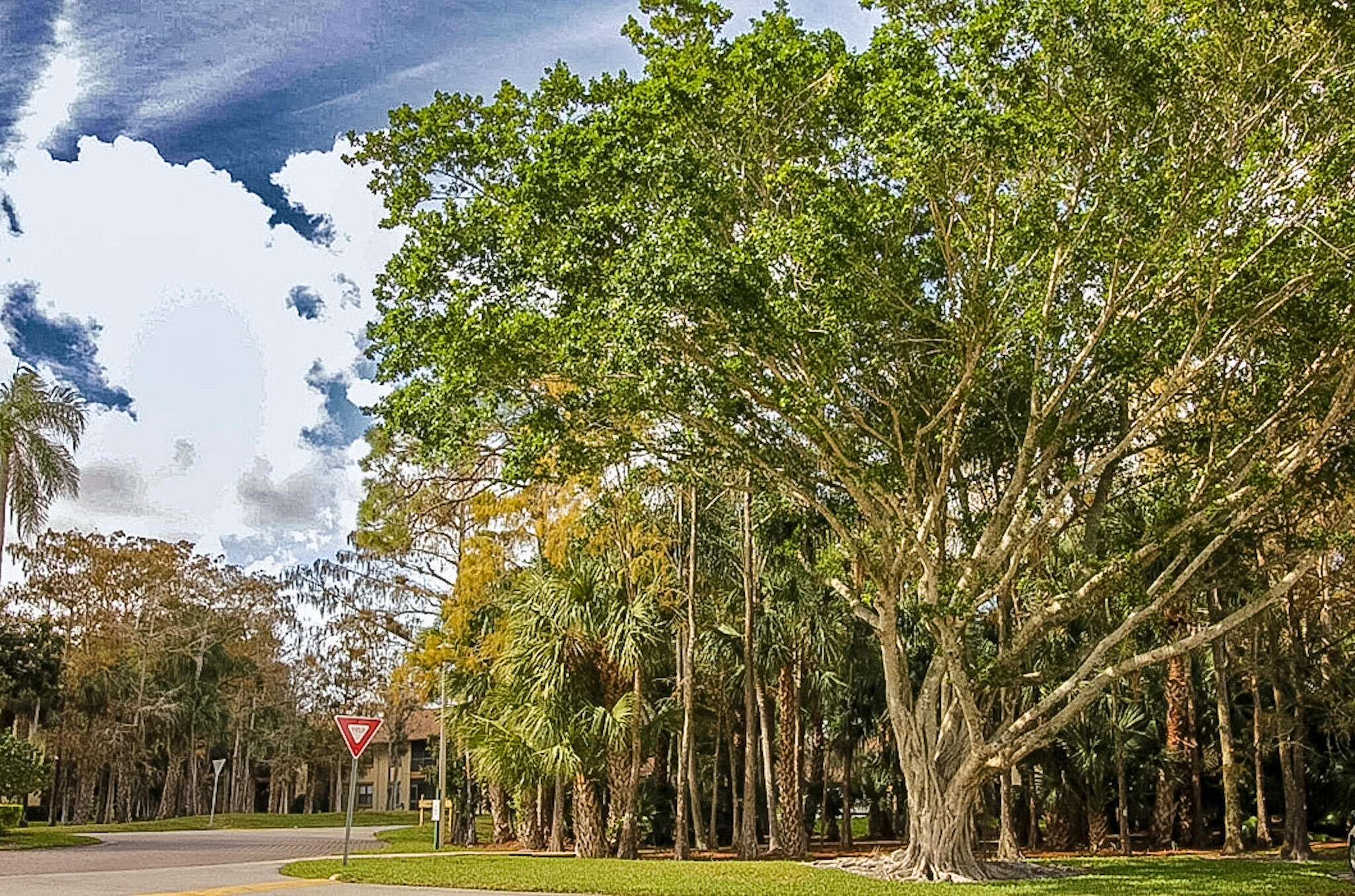SHEFFIELD WOODS AT WELLINGTON CONDO - Residential Lease