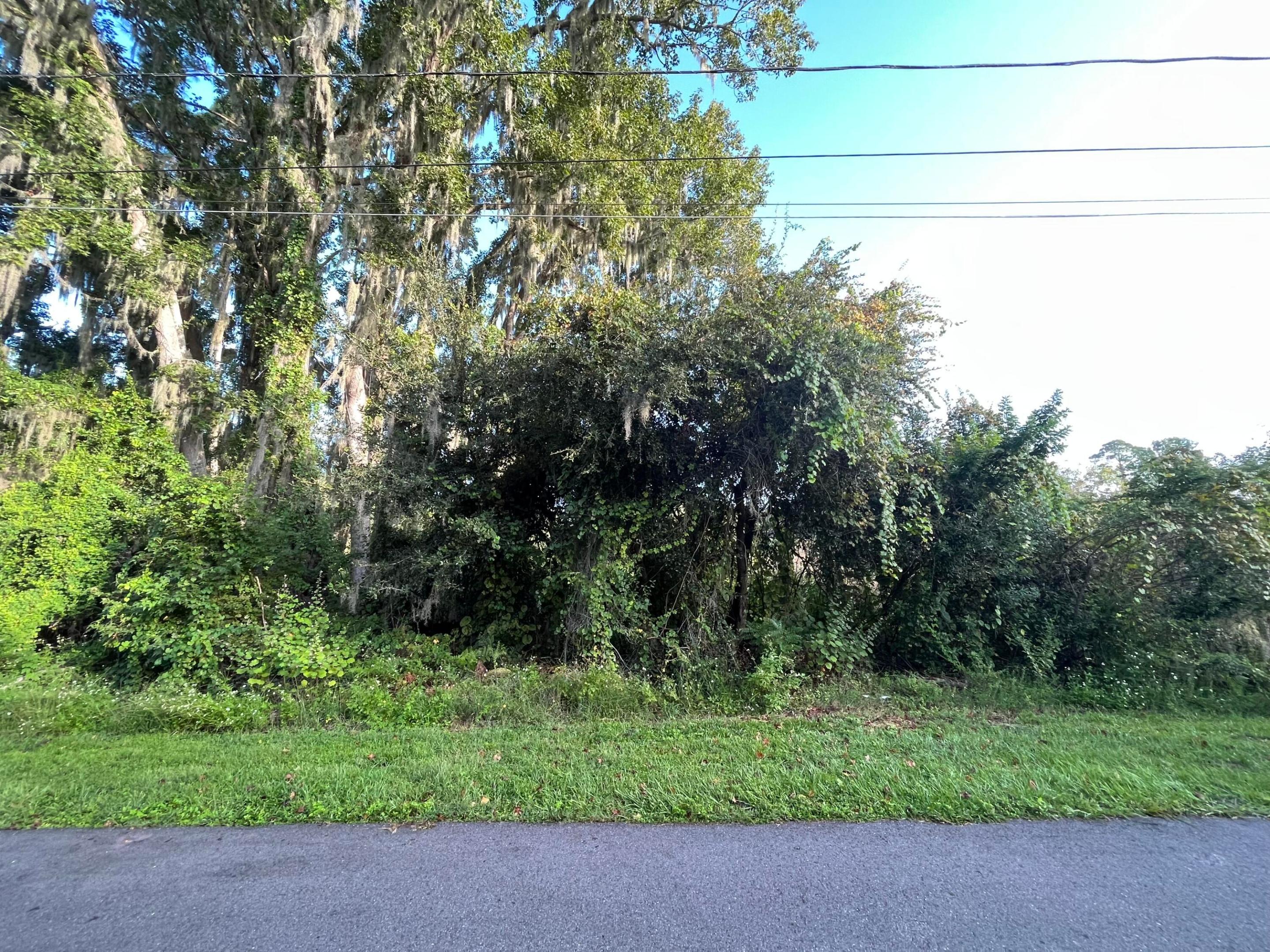 PLANTATION ESTATES UNIT 31 - Land