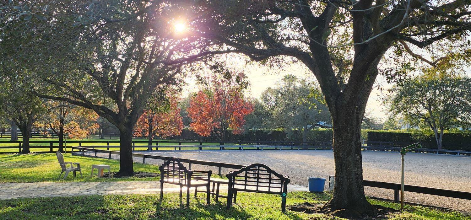 SADDLE TRAIL PARK OF WELLINGTON - Residential