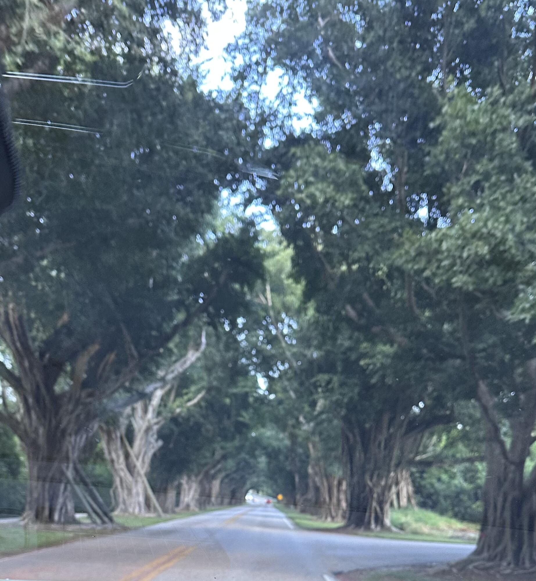 RIDGEWAY - Residential