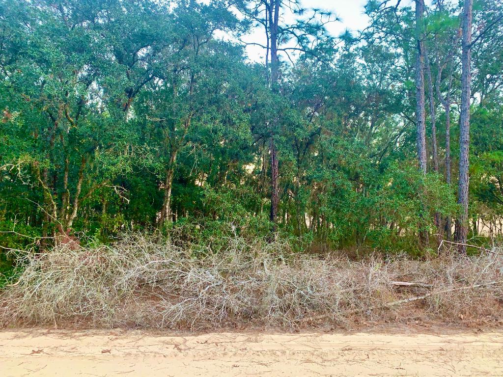 INVERNESS VILLAGE UNIT 3 - Land