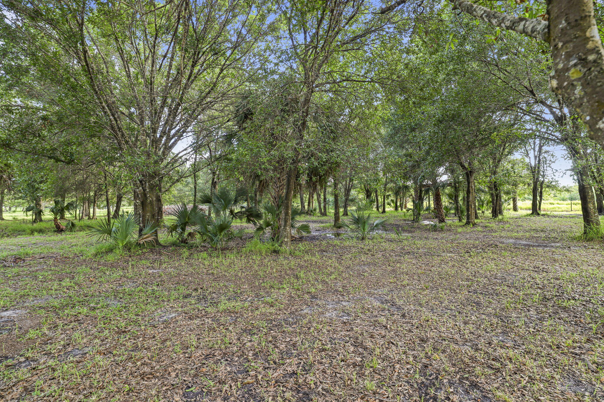 Casa Campo - Residential