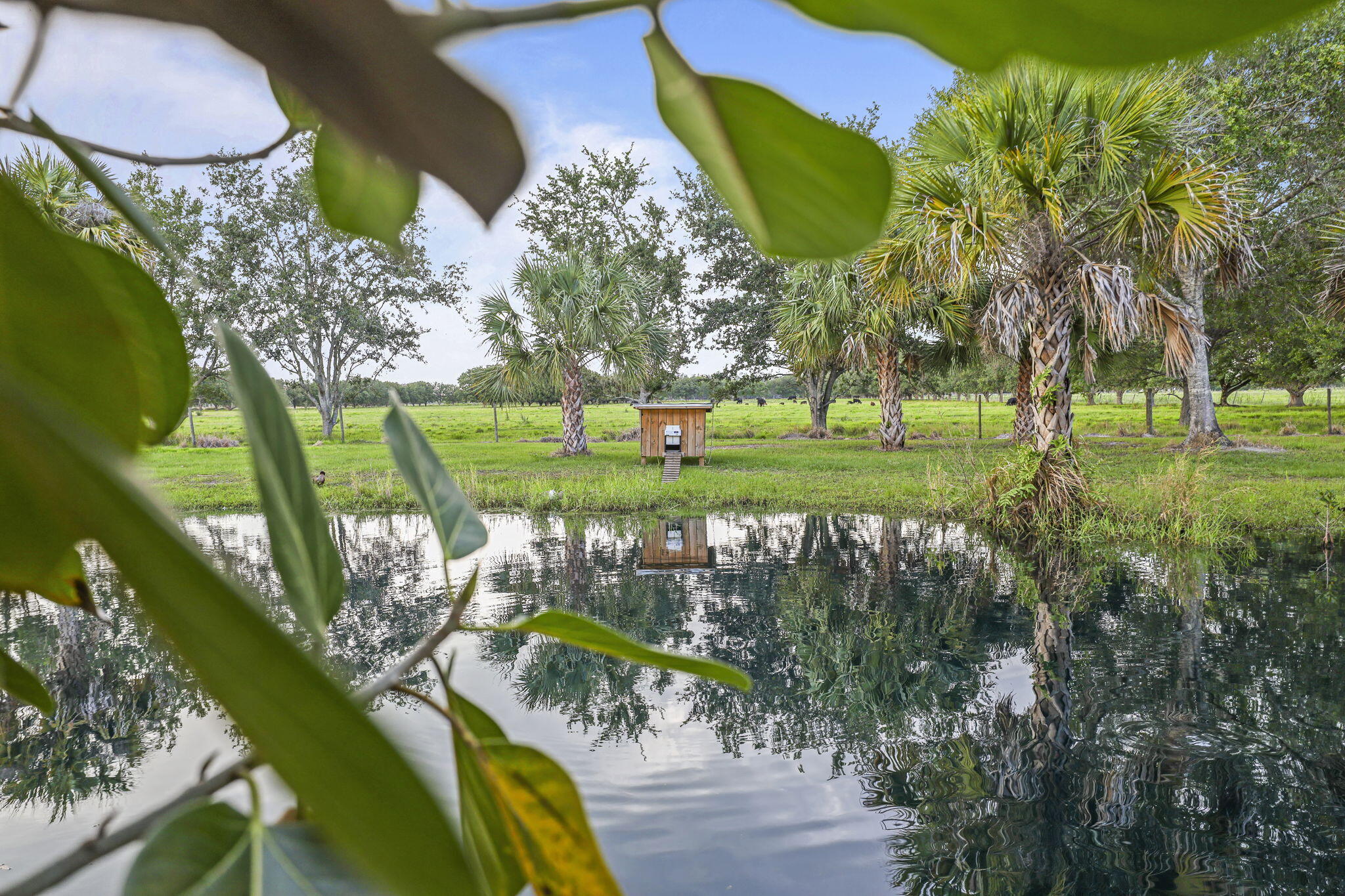 Casa Campo - Residential
