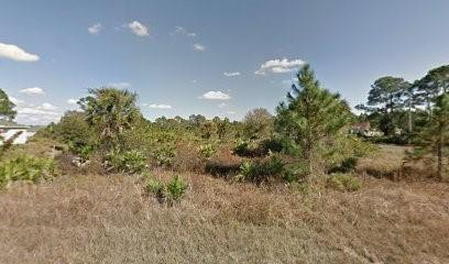 Lehigh Acres - Land