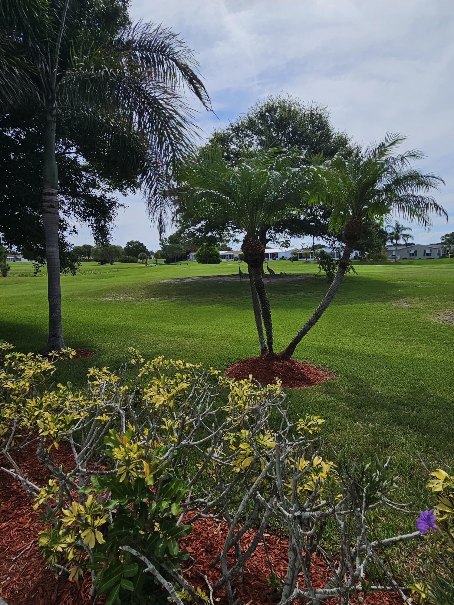 EAGLE'S RETREAT AT SAVANNA CLUB PHASE 2 - Residential