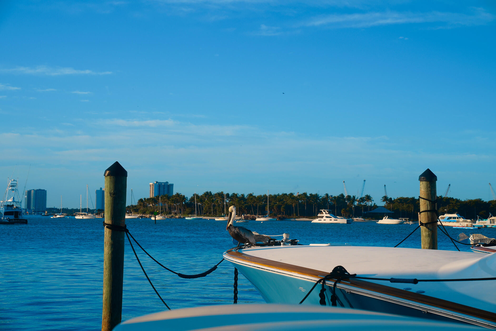 HAVN Residences and Yacht Club - Residential