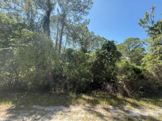 OWNER FINANCING AVAILABLE! Opportunity awaits with this vacant lot at 337 Palm Way in Georgetown, FL 32139! Located in the peaceful and natural surroundings of Putnam County, this parcel offers a great setting for your future home, weekend getaway, or investment project. With access to nearby lakes, the St. Johns River, and local recreation, this is the perfect spot for nature lovers, boaters, and outdoor enthusiasts. Zoned for residential use—buyer to verify specific zoning, utilities, and building requirements with the county. Don't miss your chance to own a slice of Florida paradise! Buyer to verify all property details including zoning, utilities, land use, and building requirements. All information deemed reliable but not guaranteed.