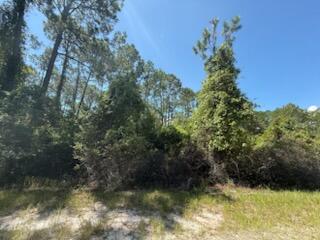 PARADISE LAKES SUB - Land