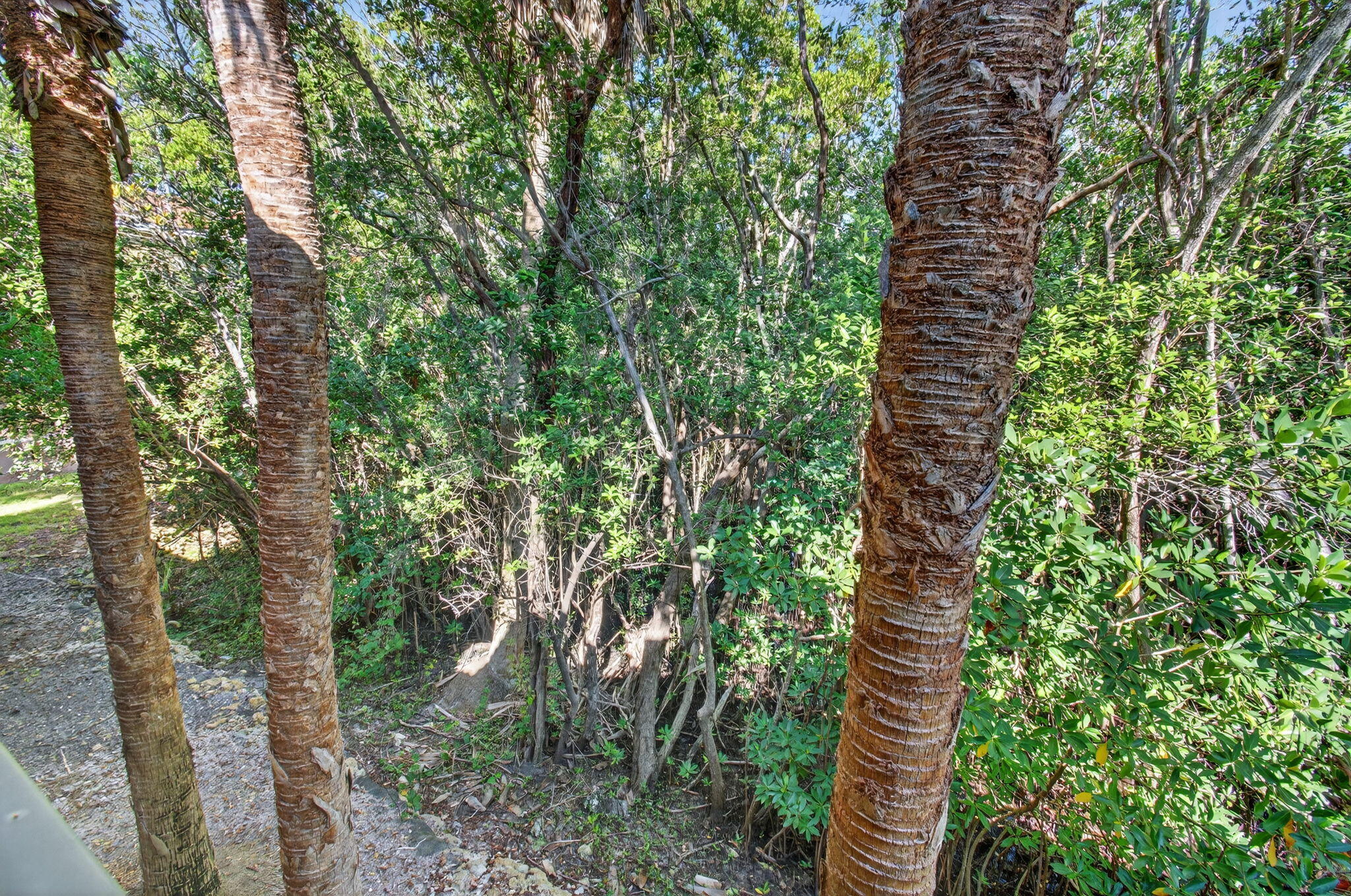 HYPOLUXOS MARINERS CAY CONDO - Residential