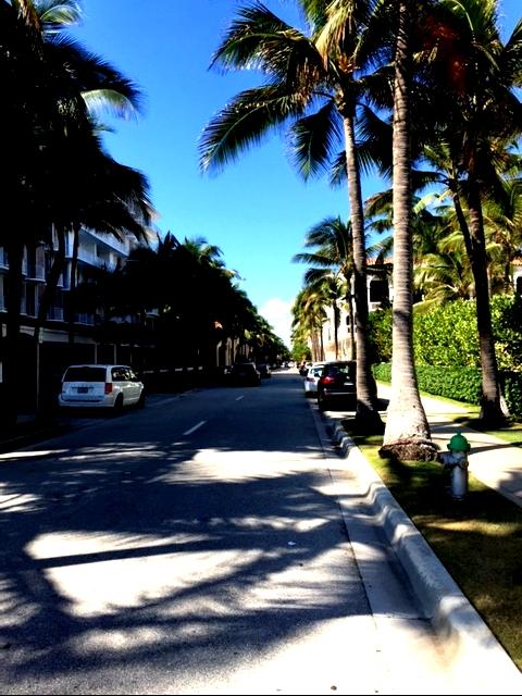 ADAMS - Residential