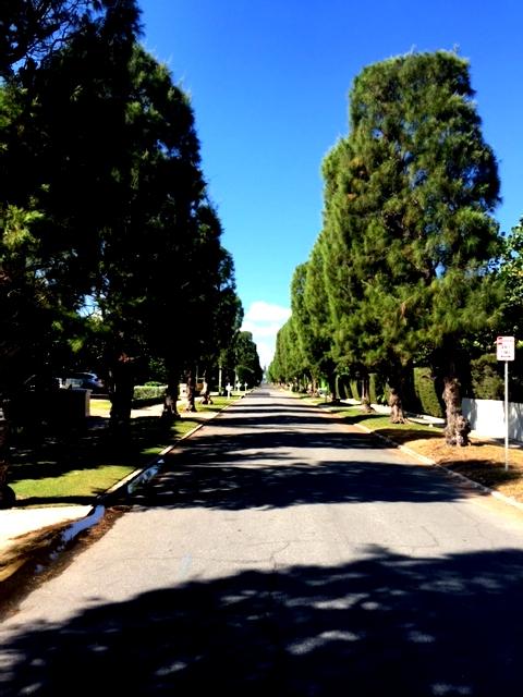 ADAMS - Residential
