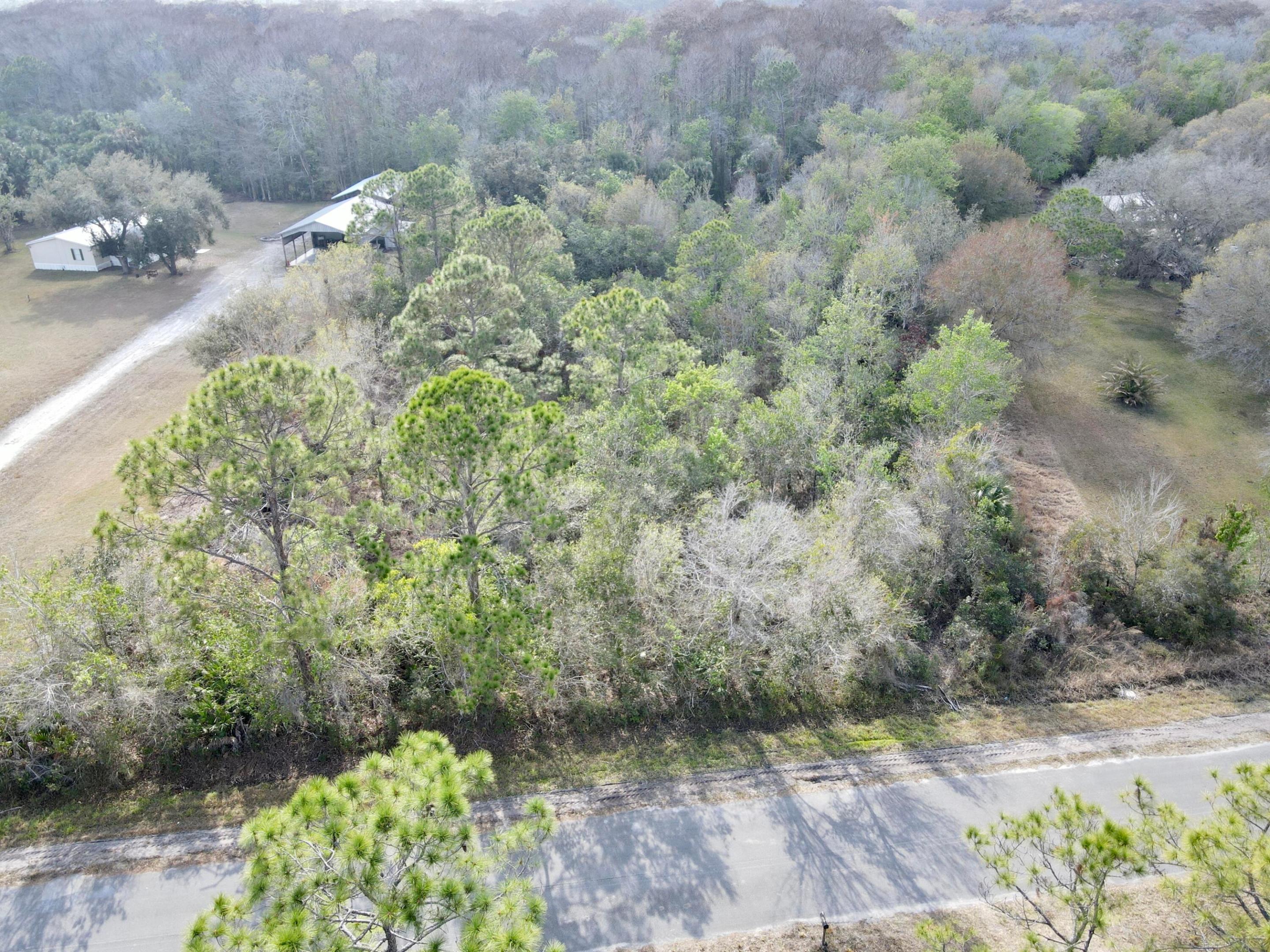 Discover 5 wooded acres, perfect for imagining your dream home.
