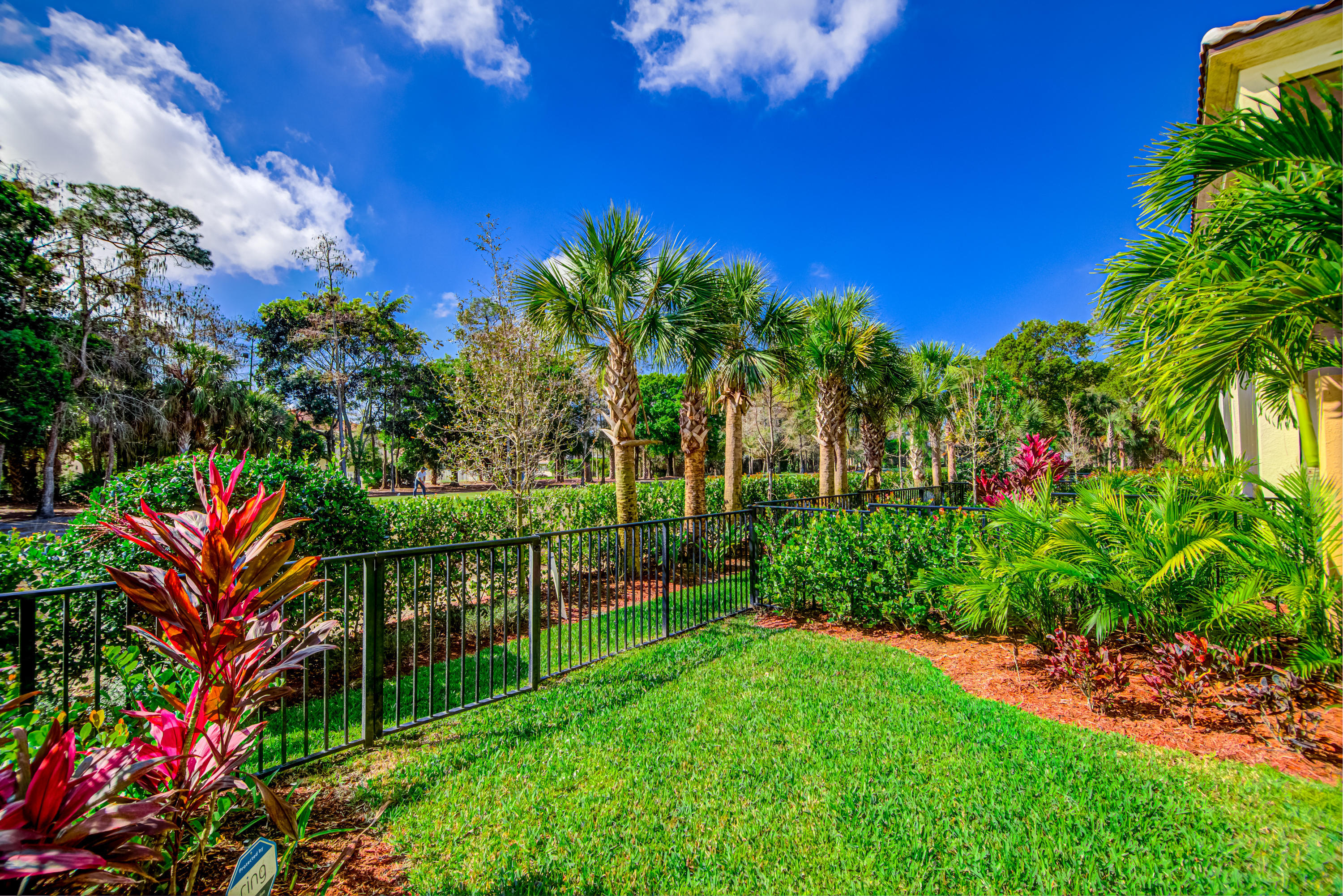 BINKS POINTE - Residential