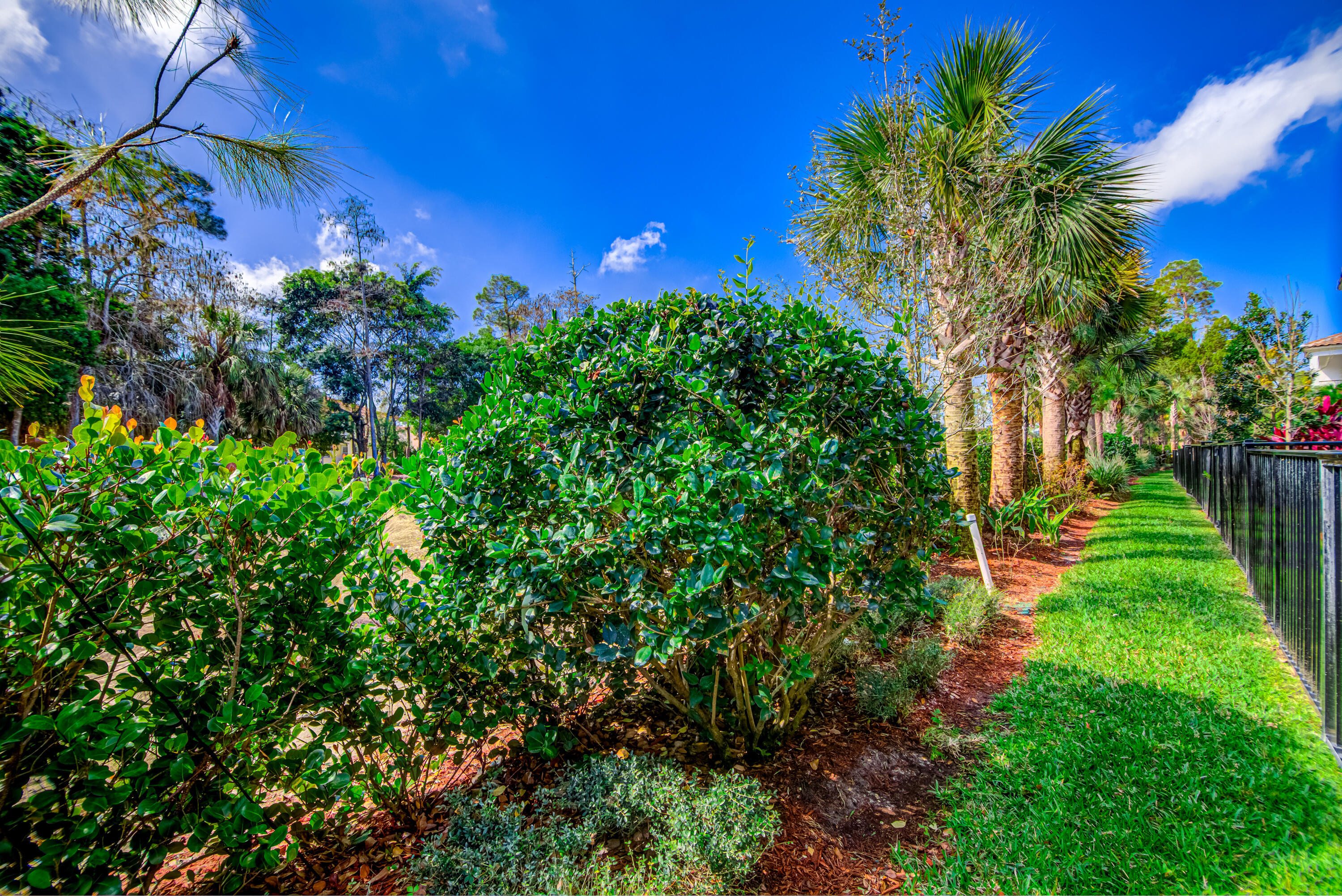 BINKS POINTE - Residential