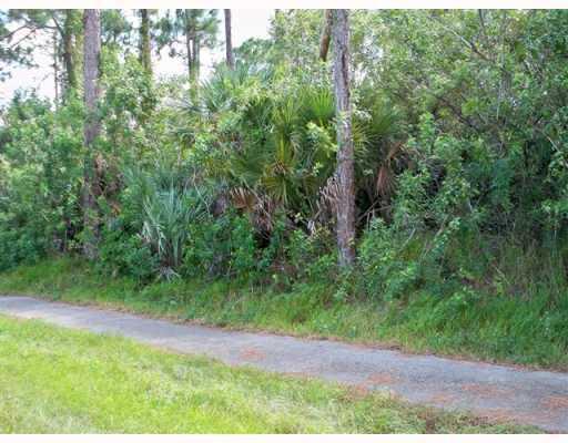 LAND FOR LEASE (NOT FOR SALE) 1.62 ACRES ON SYCAMORE DR LOXAHATCHEE FL 33470. PERFECT FOR NURSERY, TREE FARM OR PRODUCE STAND.
