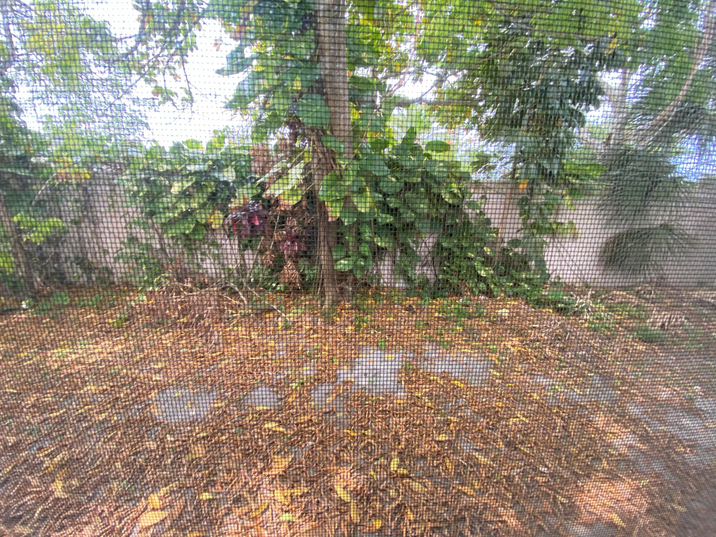 OAKLAND ESTATES 7TH SECTI - Residential