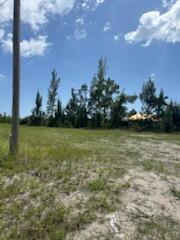 CAPE CORAL - Land