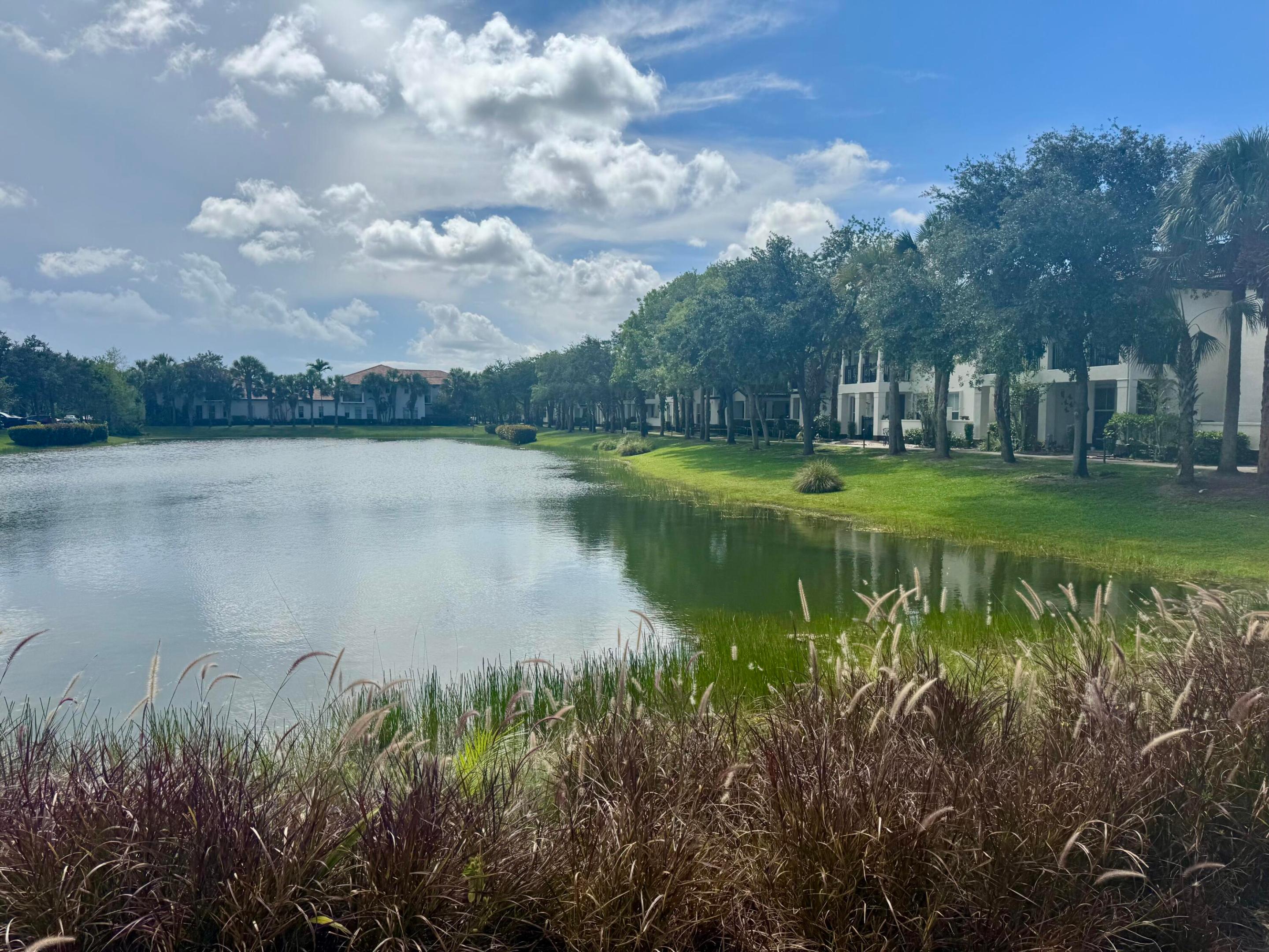 PALOMA LAKES - Residential