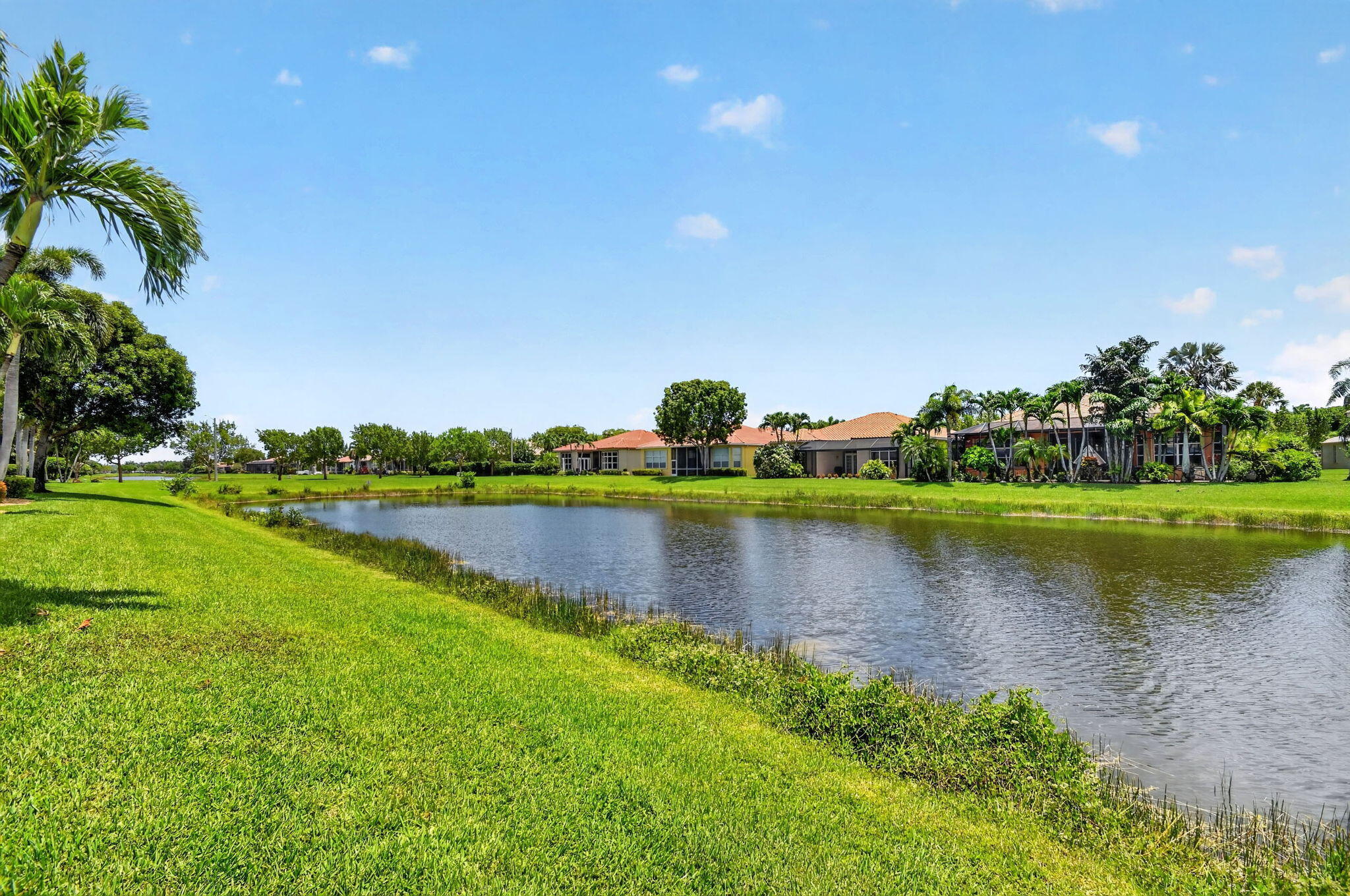 BUENA VIDA - Residential