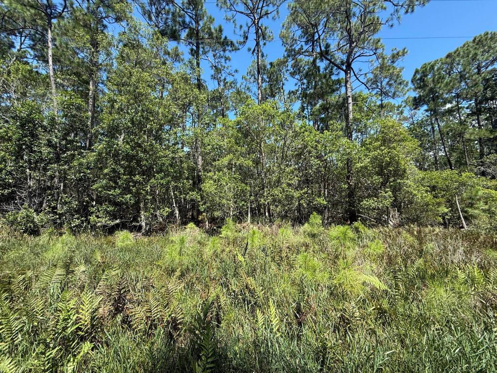 Owner financing available. Build your dream home on this 0.23-acre lot in the Georgetown community, zoned R-2, allowing single-family homes, tiny homes, barndominiums, or mobile homes. Enjoy peaceful living just minutes from Lake George and the St. Johns River, with boating, fishing, and outdoor recreation nearby. The property is part of an HOA, offering community guidelines to maintain neighborhood charm. Conveniently located near Palatka, Crescent City, and local amenities, this lot is perfect for a full-time residence, weekend retreat, or investment property. Buyer to verify all property details including zoning, utilities, land use, and building requirements. All information deemed reliable but not guaranteed.
