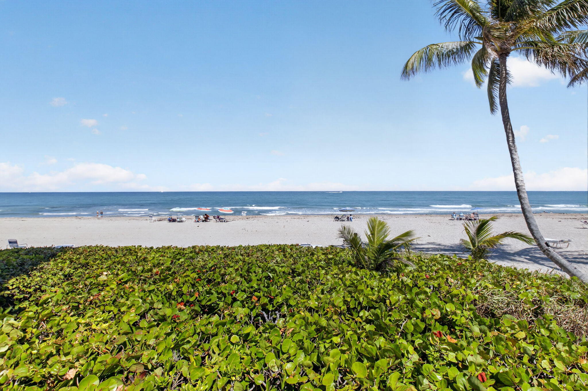 AMBASSADORS EAST - Residential Lease