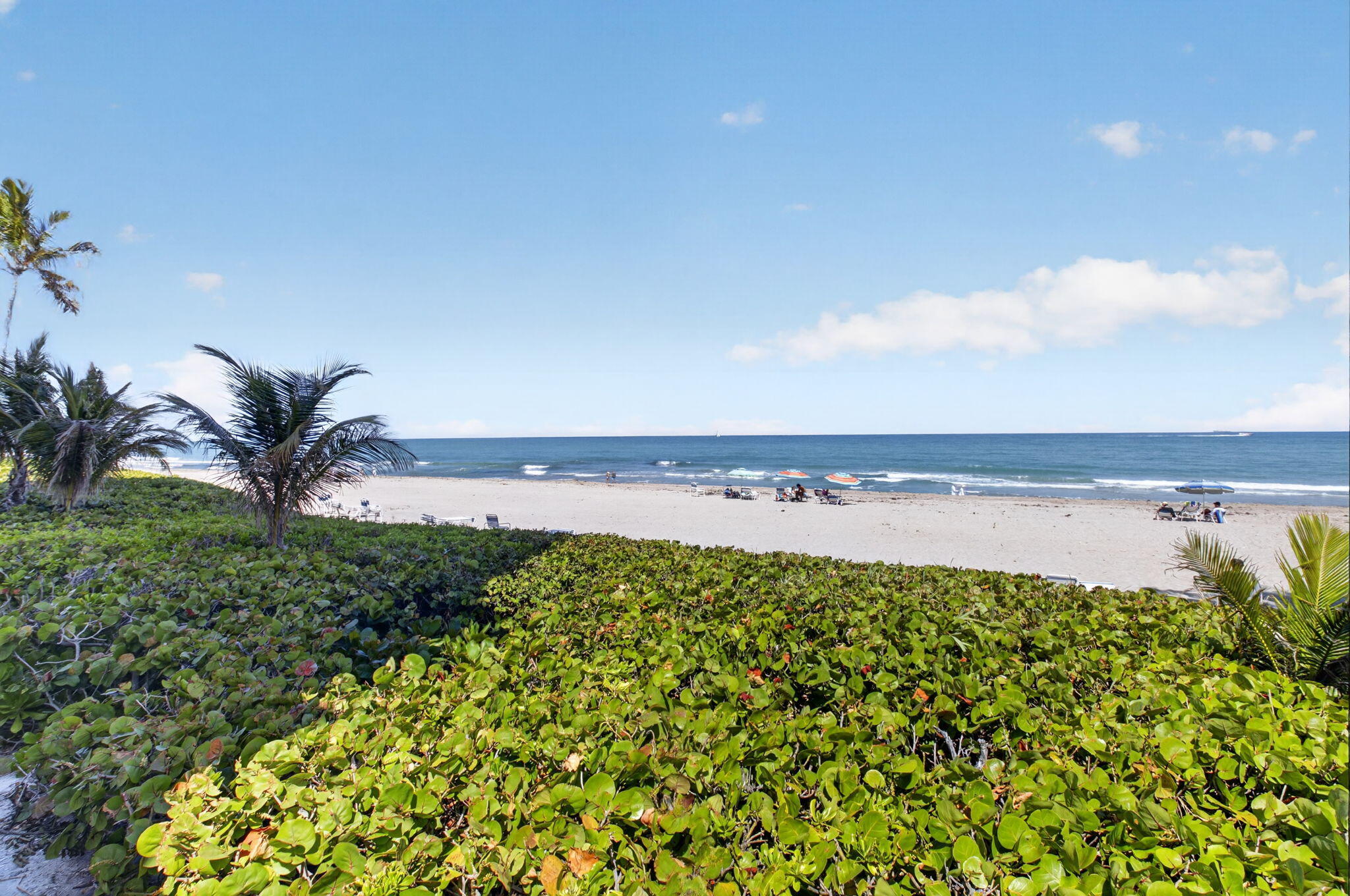 AMBASSADORS EAST - Residential Lease