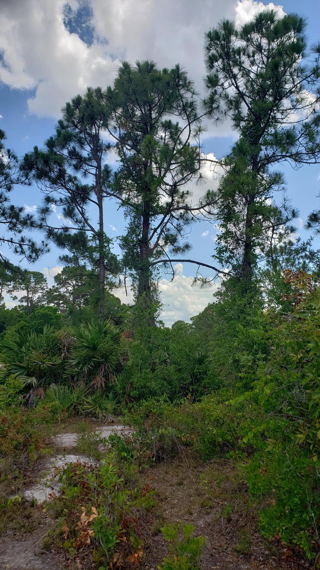 PLACID LAKES SEC 20 - Land