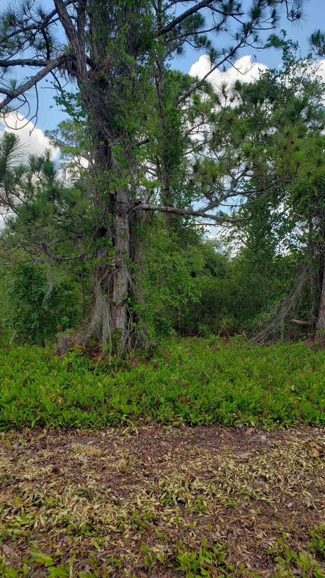 PLACID LAKES SEC 20 - Land