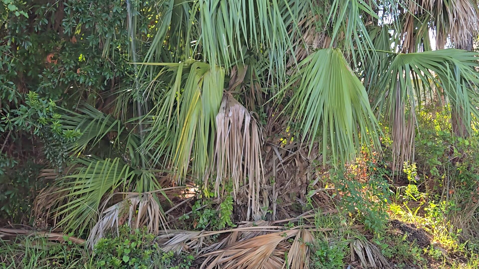 PORT ST LUCIE SECTION 19 - Land