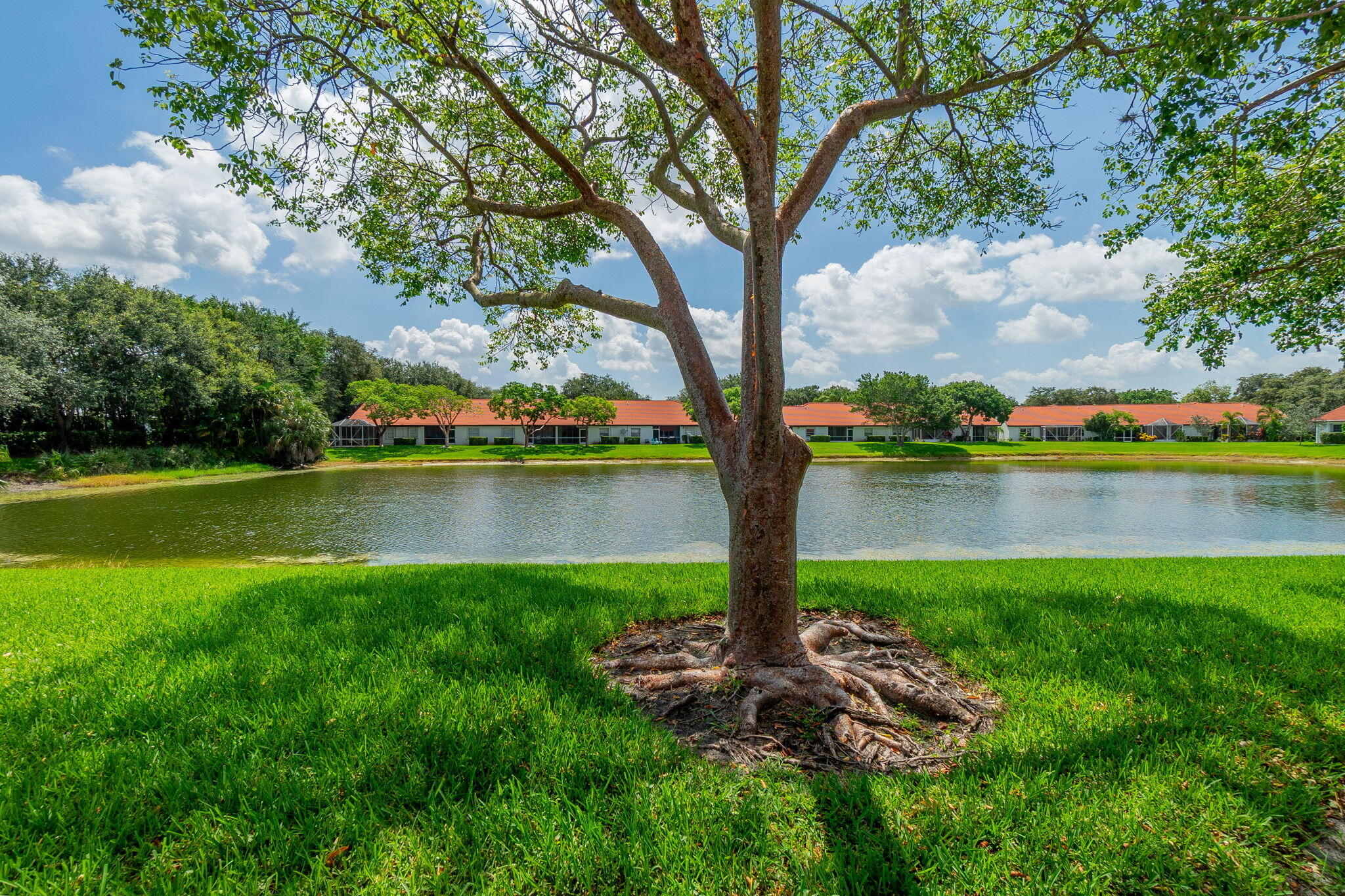 BOCA AZUL PH 4 AND 5 - Residential