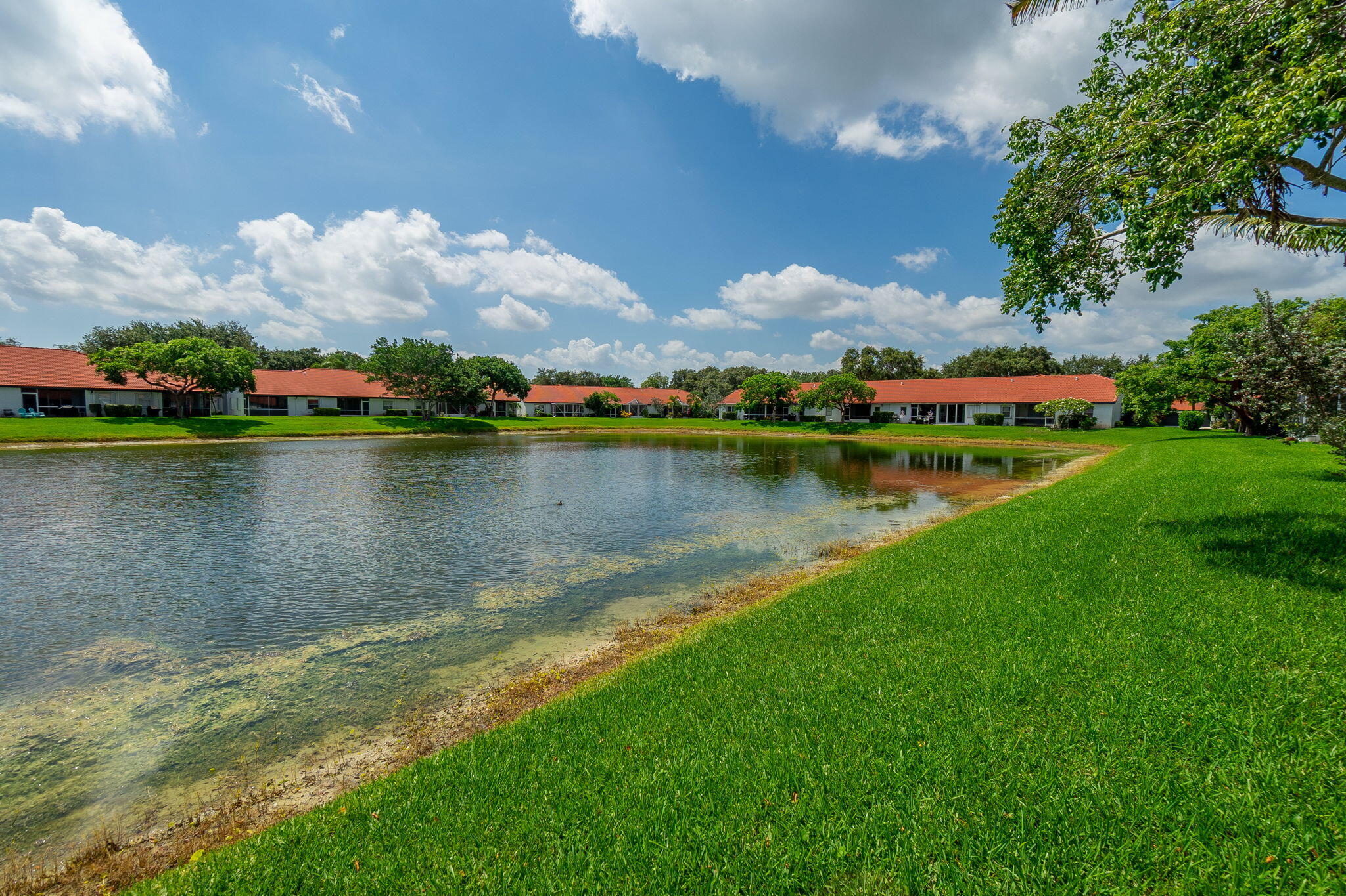 BOCA AZUL PH 4 AND 5 - Residential