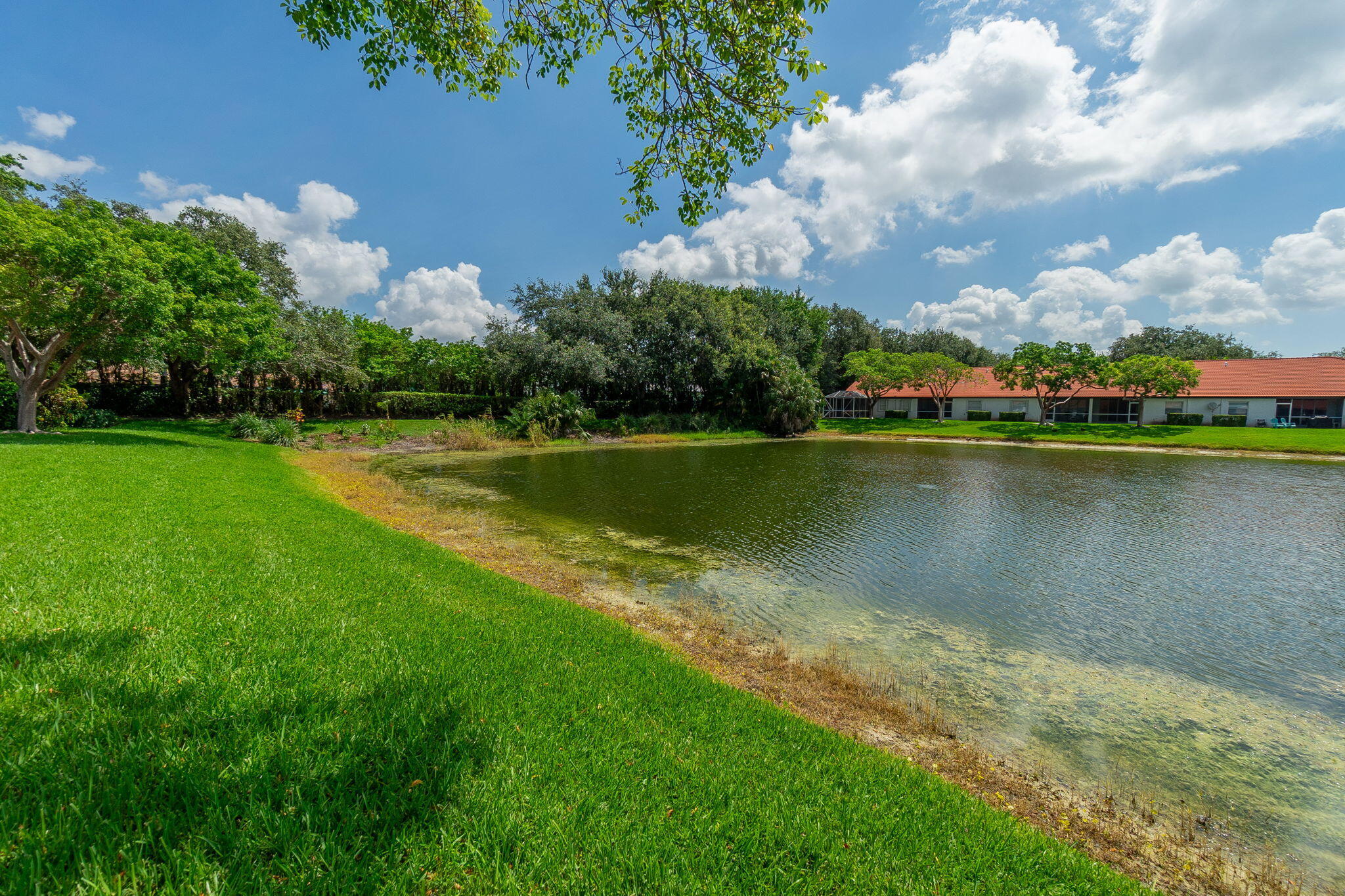 BOCA AZUL PH 4 AND 5 - Residential