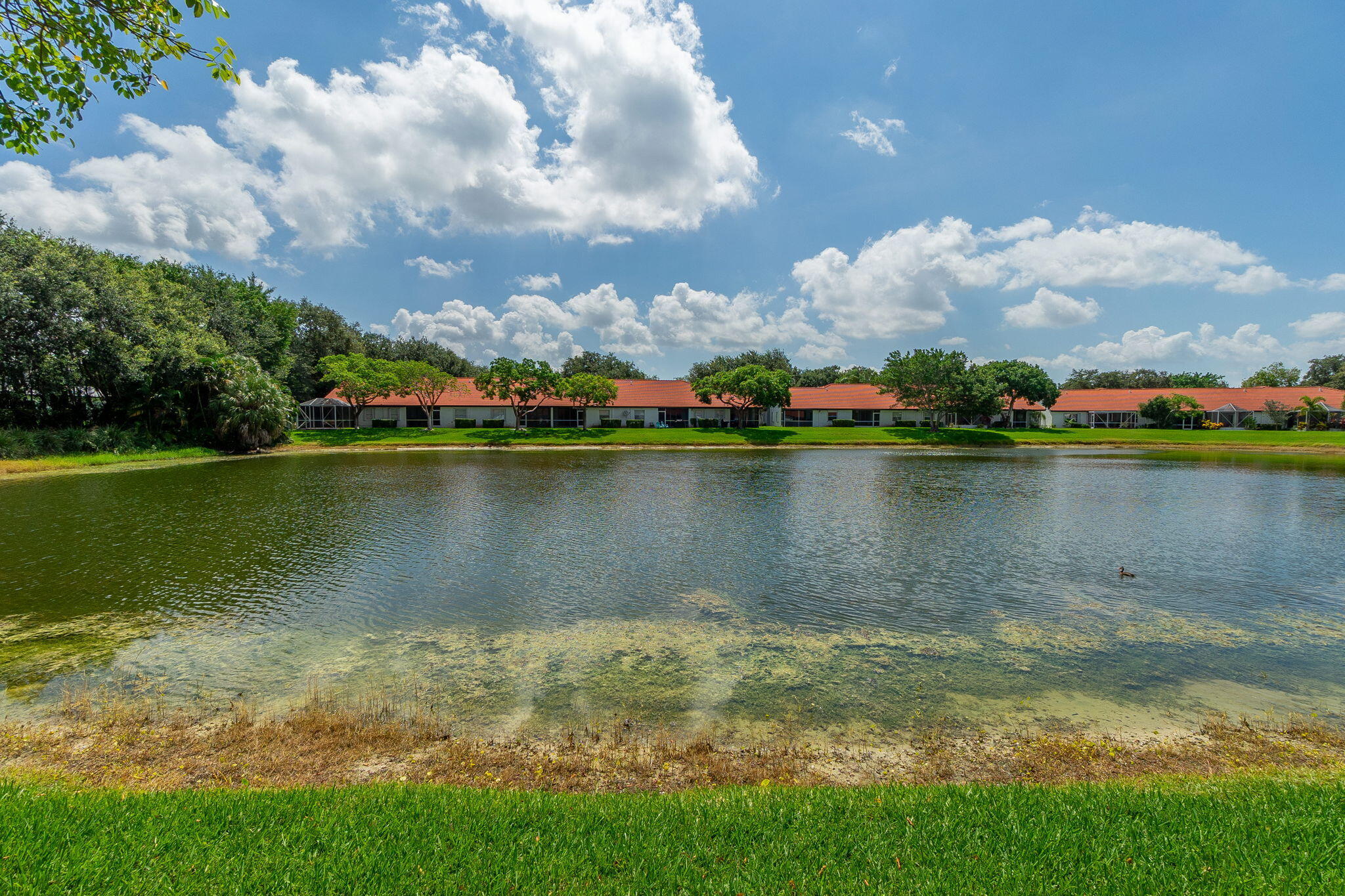 BOCA AZUL PH 4 AND 5 - Residential