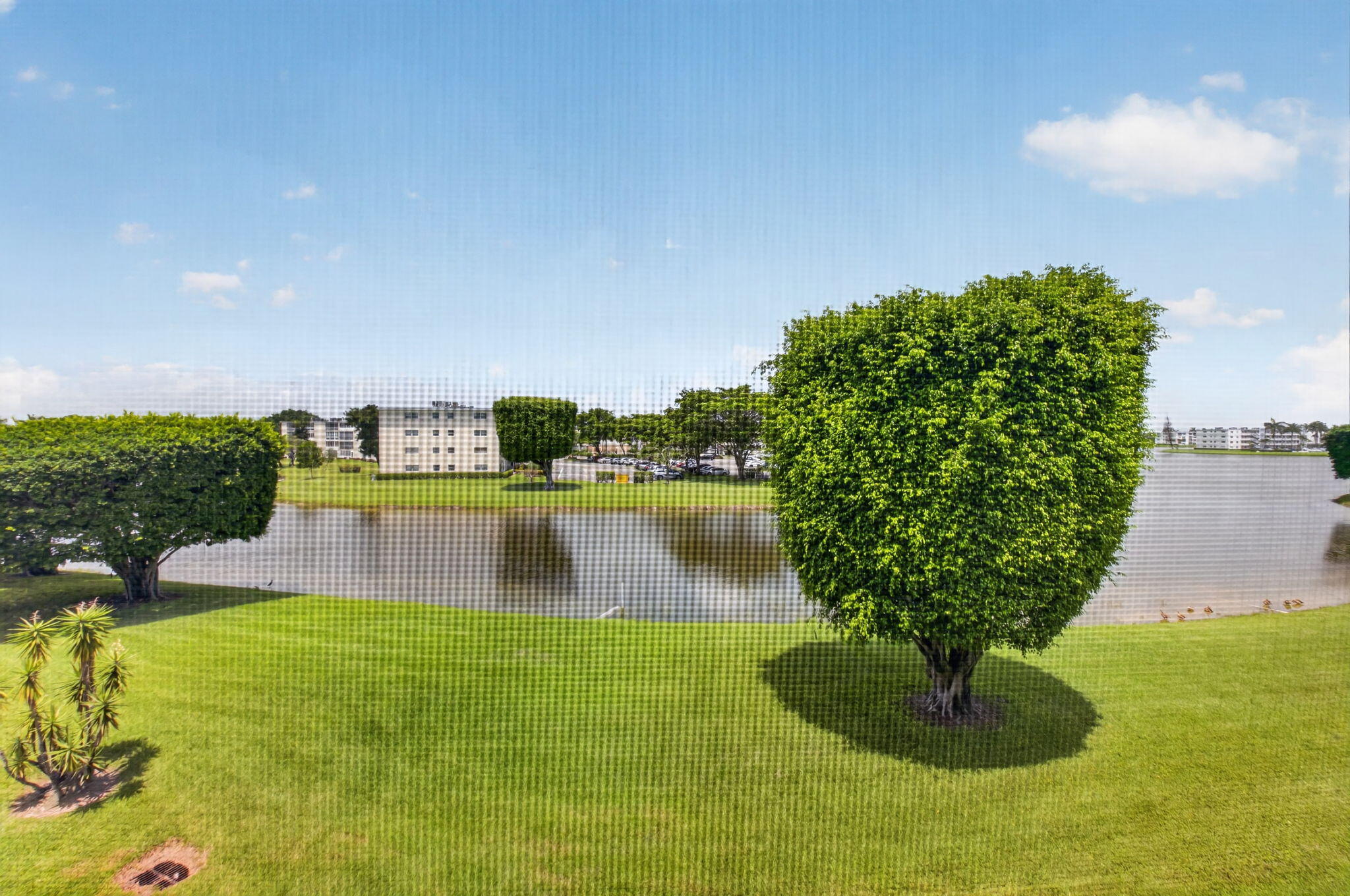 Century Village - Residential
